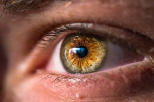 Ogen